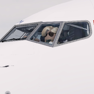 Cabin crew